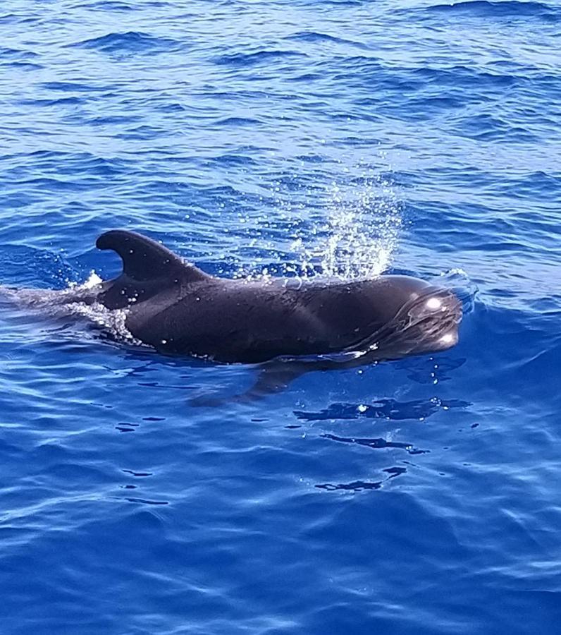 Tenerife Playa La Arena Пуерто де Сантяго Екстериор снимка