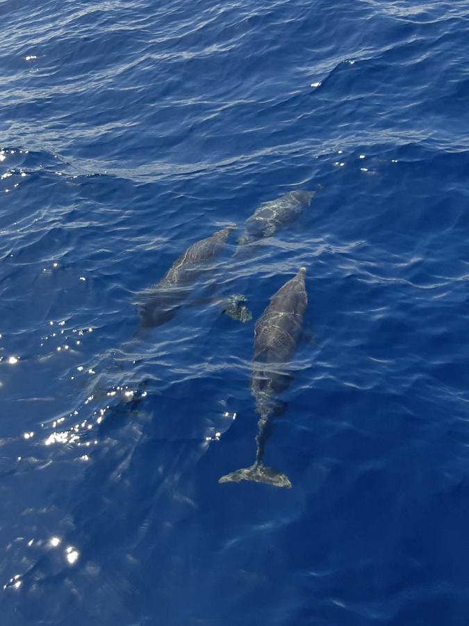 Tenerife Playa La Arena Пуерто де Сантяго Екстериор снимка